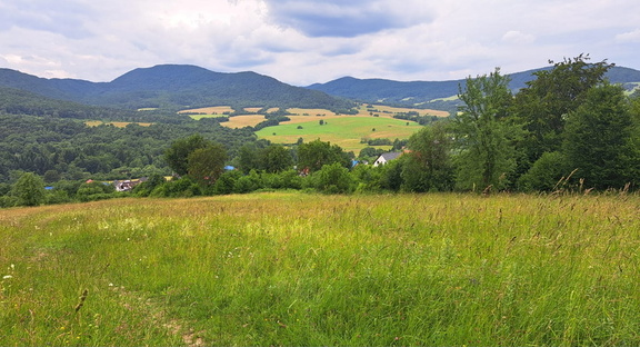 IMG-20250629-WA0009