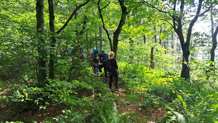 IMG-20250629-WA0010