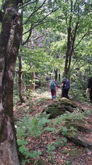 IMG-20250629-WA0014