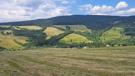 IMG-20250629-WA0018