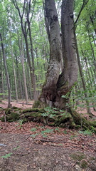 IMG-20250629-WA0027