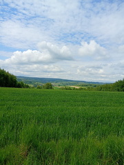 IMG-20250522-WA0006