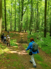 IMG-20250522-WA0008