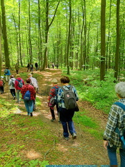 IMG-20250522-WA0009