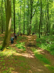 IMG-20250522-WA0010