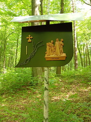 IMG-20250522-WA0012