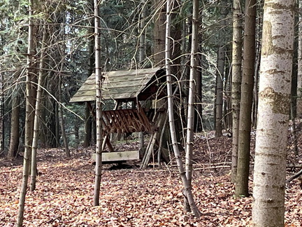 IMG-20250330-WA0028