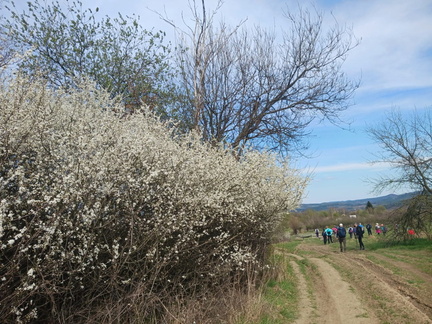 IMG-20250413-WA0017