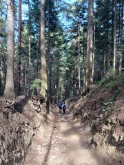 IMG-20250413-WA0018