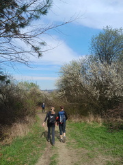IMG-20250413-WA0024