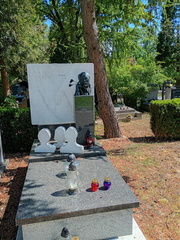 IMG-20250704-WA0084