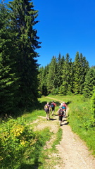 IMG-20250705-WA0050