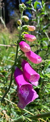 IMG-20250705-WA0057