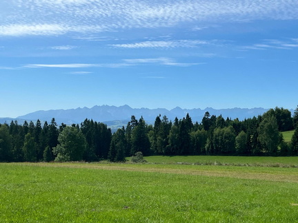 IMG-20250705-WA0015