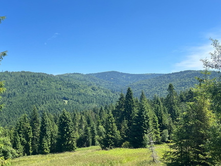 IMG-20250705-WA0019