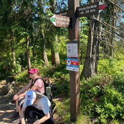 2025-07-05 Obidowiec