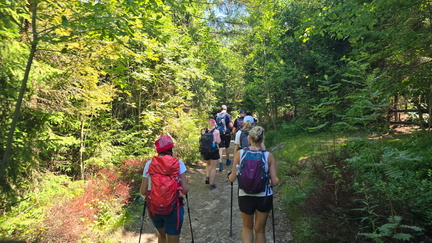 IMG-20250705-WA0058