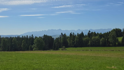 IMG-20250705-WA0060