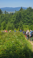 IMG-20250705-WA0065