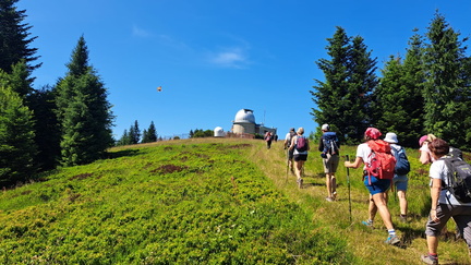 IMG-20250705-WA0052