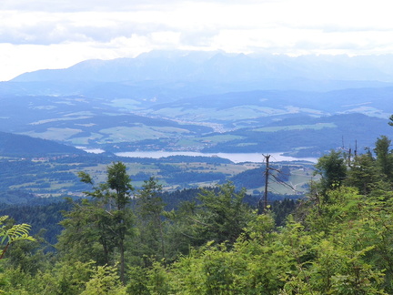 IMG-20250720-WA0009