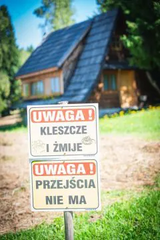 532095634 1351206880345456 1812700411726243670 n.jpg-nggid0510958-ngg0dyn-0x360-00f0w010c010r110f110r010t010