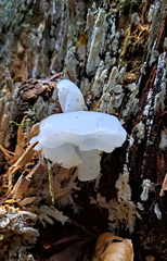 IMG-20251019-WA0002