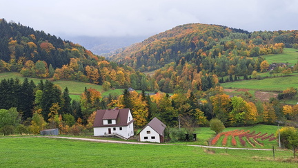 IMG-20251019-WA0005