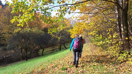 IMG-20251019-WA0008