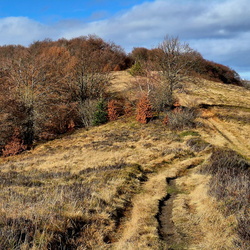 2025-11-08-11 Listopad w górach Słowacja 