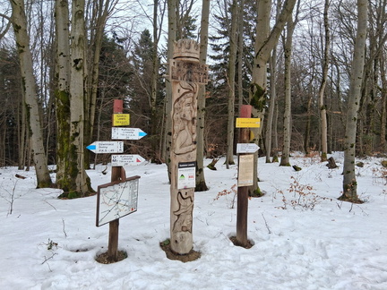 IMG-20260207-WA0016