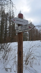 IMG-20260207-WA0018