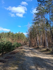 WhatsApp Image 2026-03-23 at 10.04.23 (2)