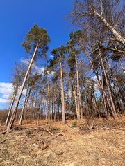 WhatsApp Image 2026-03-21 at 19.19.47 (2)