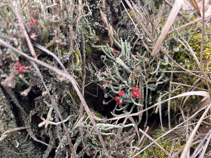 WhatsApp Image 2026-03-21 at 19.19.47 (4)