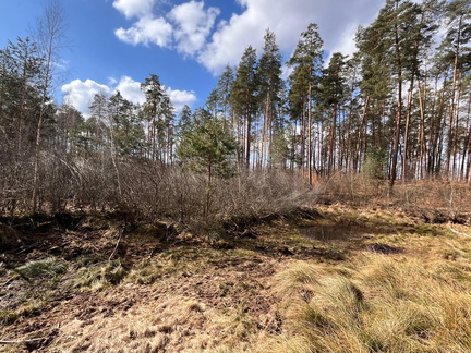 WhatsApp Image 2026-03-21 at 19.19.47 (3)