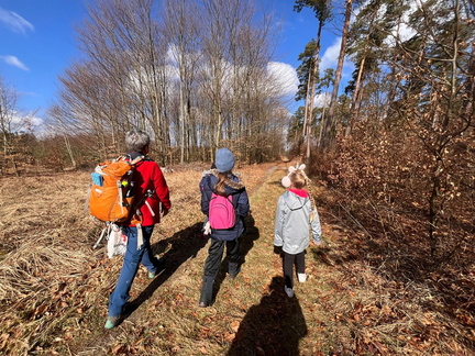 WhatsApp Image 2026-03-21 at 19.19.47 (5)