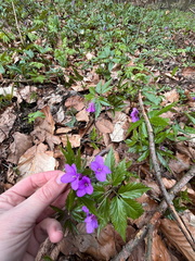 WhatsApp Image 2026-03-21 at 19.21.00 (1)