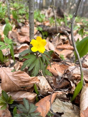 WhatsApp Image 2026-03-21 at 19.21.00 (2)