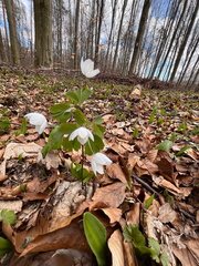 WhatsApp Image 2026-03-21 at 19.21.00 (3)