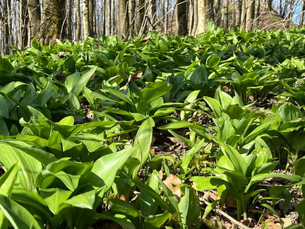 WhatsApp Image 2026-04-09 at 14.12.10