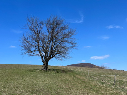 WhatsApp Image 2026-04-09 at 14.12.13 (2)