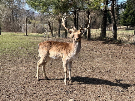 WhatsApp Image 2026-04-09 at 14.12.13 (3)