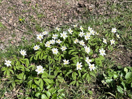 WhatsApp Image 2026-04-09 at 14.12.13 (4)