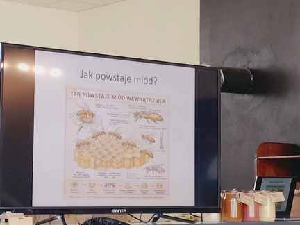 WhatsApp Image 2026-04-12 at 16.24.01 (2)