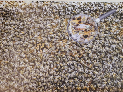 WhatsApp Image 2026-04-12 at 16.24.02 (1)