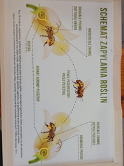 WhatsApp Image 2026-04-12 at 16.24.03